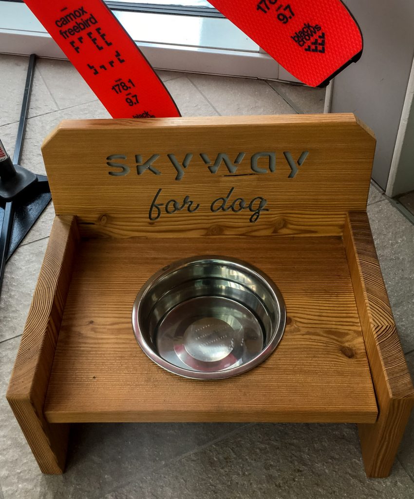 Skyway for dog - In Viaggio Con Monica