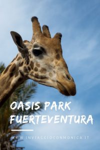 Pin Oasis Park Fuerteventura