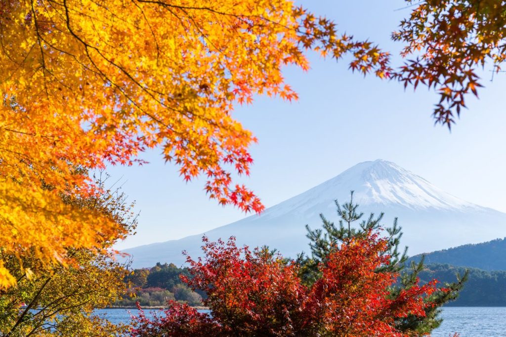 Viaggi da fare in autunno: Giappone