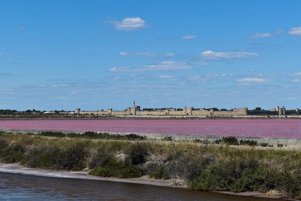 Provenza on the road: Camargue