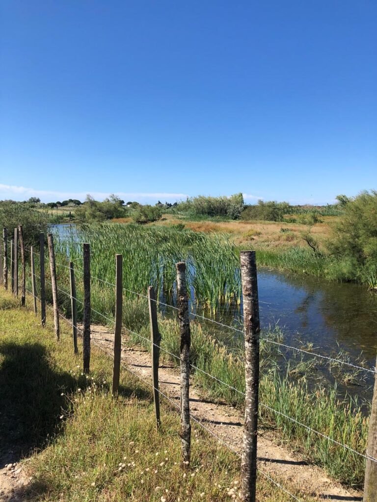 Itinerario in Provenza