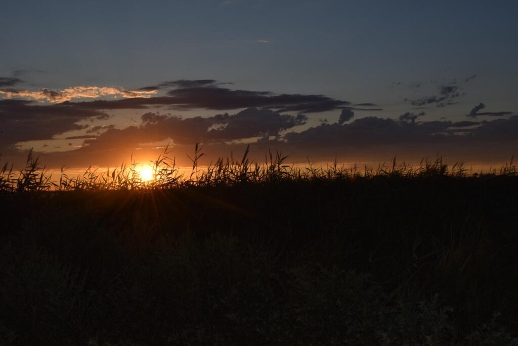 Provenza on the road