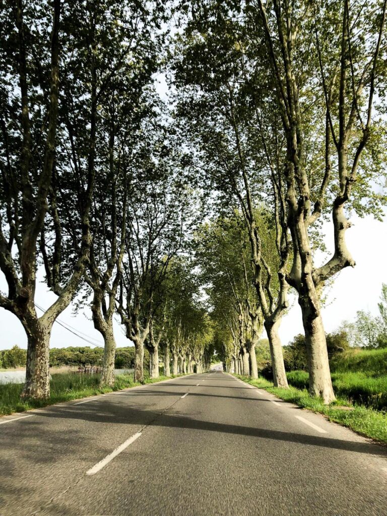 Provenza on the road