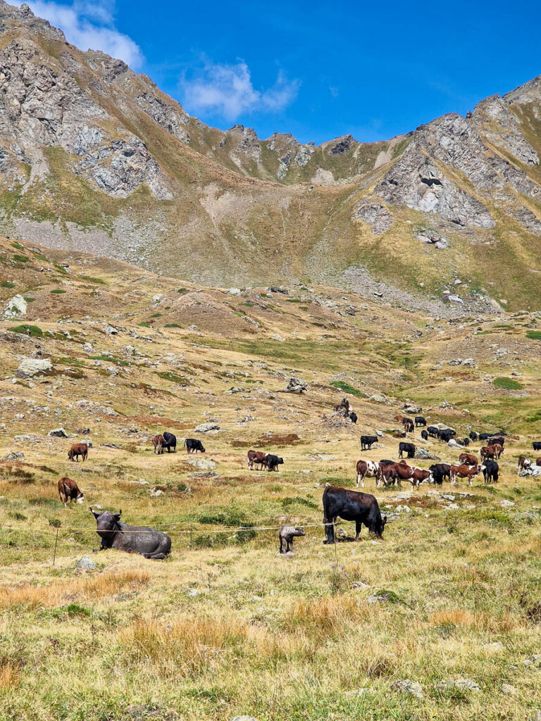 Escursione Rifugio Mont Fallère