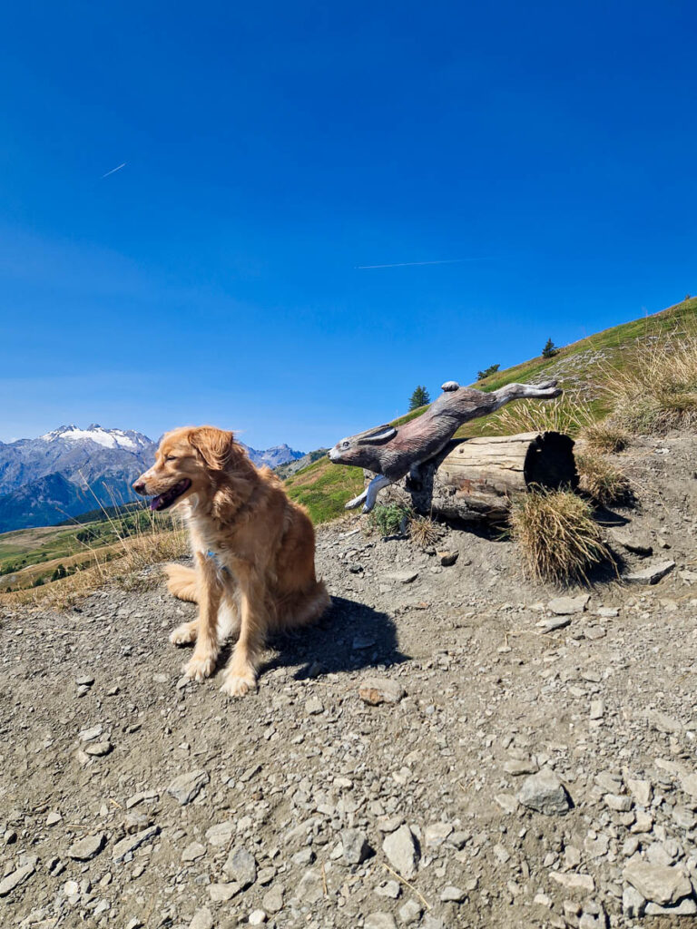 Escursione Rifugio Mont Fallère