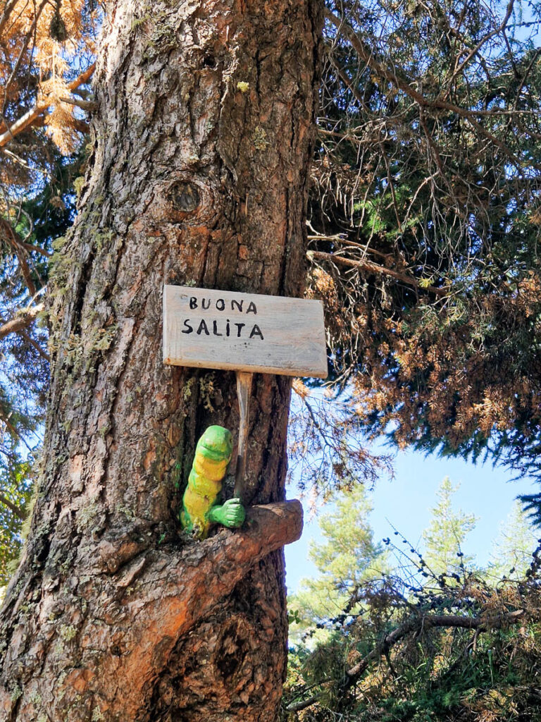 Installazioni rifugio Mont Fallère