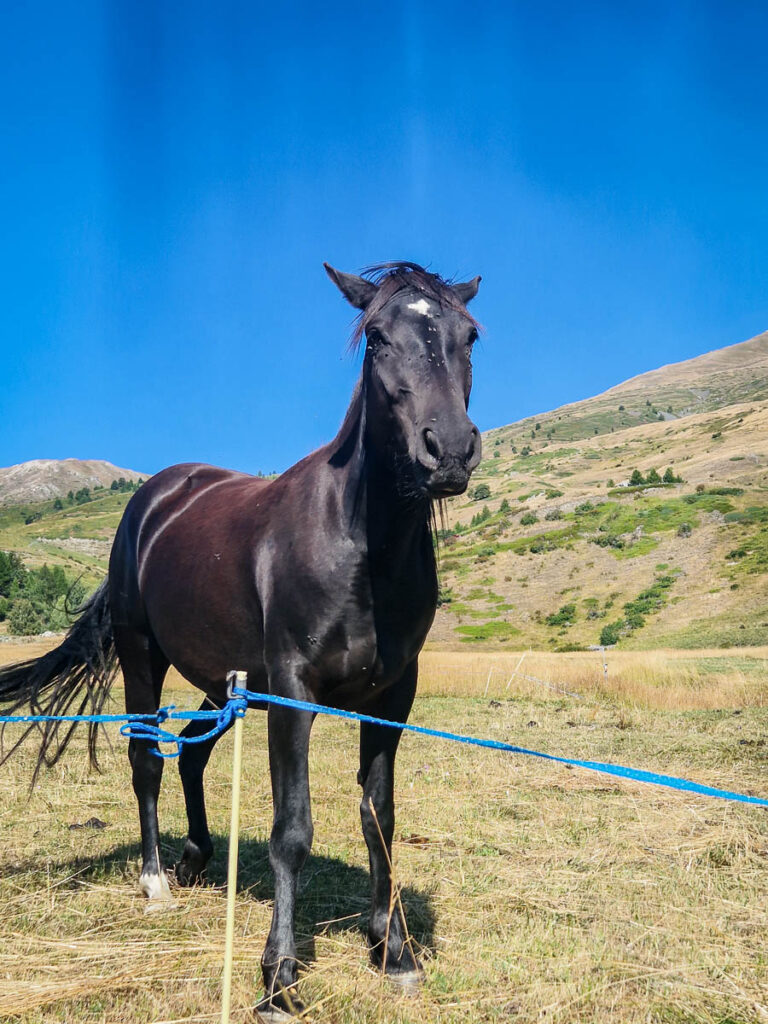 Escursione Rifugio Mont Fallère