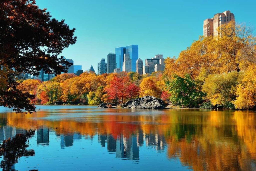 Autunno a Central Park