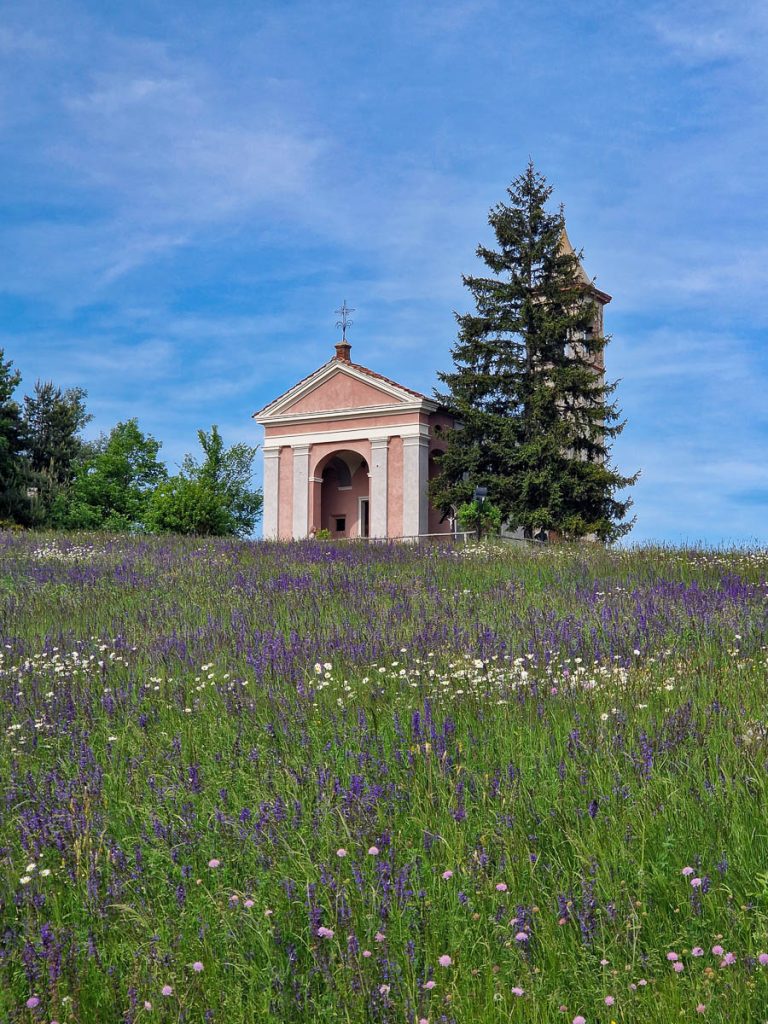 Alte Langhe