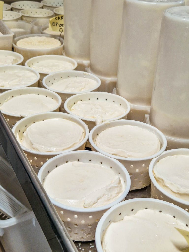 Cheese Experience - Da Fabiana