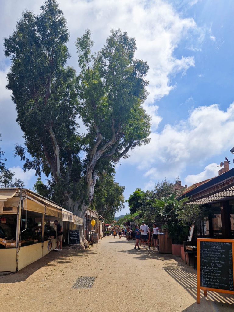 Porquerolles Rue de la Ferme