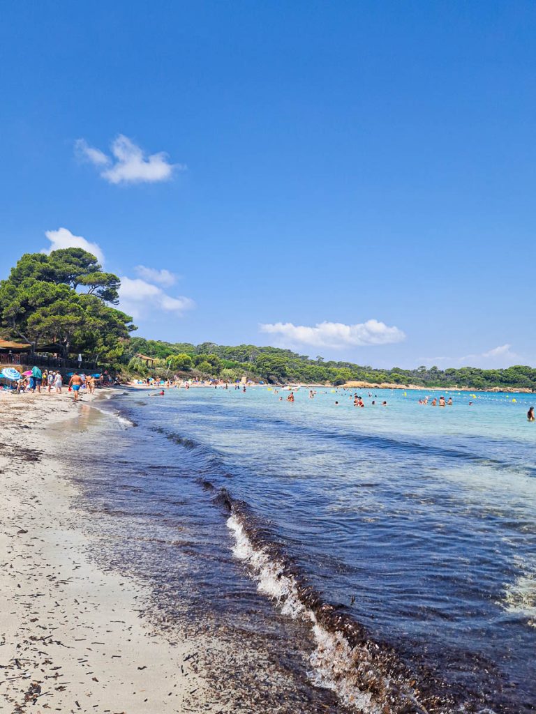 Porquerolles posidonia