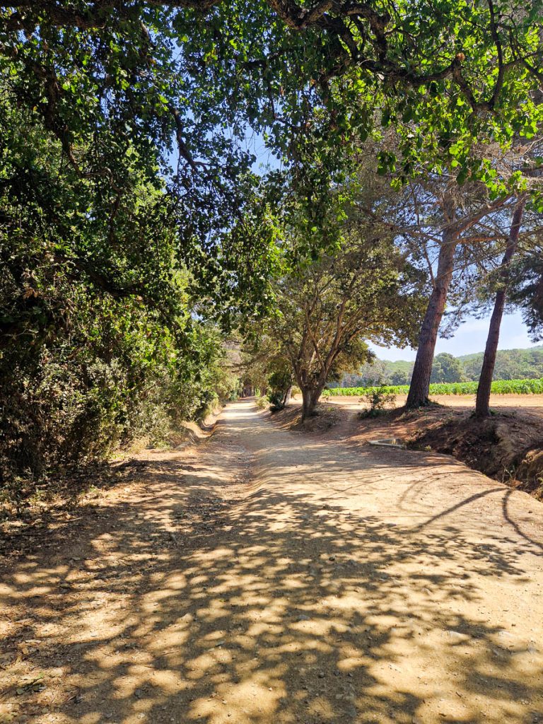 Sentieri Porquerolles
