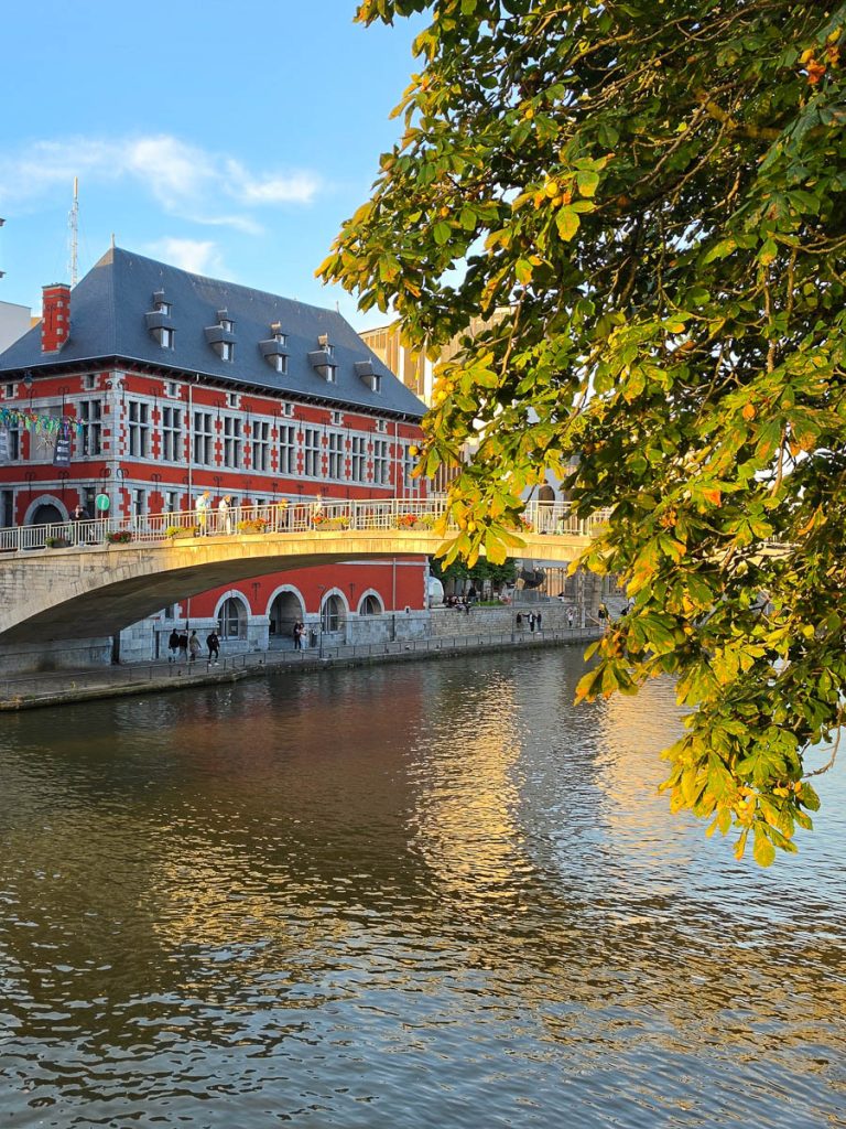 Edifici al tramonto a Namur sul fiume